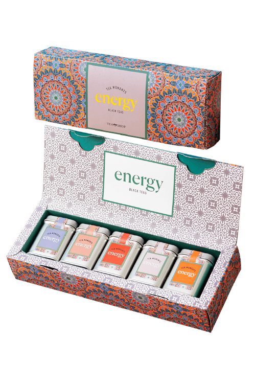 Kit 5 Mini Latas