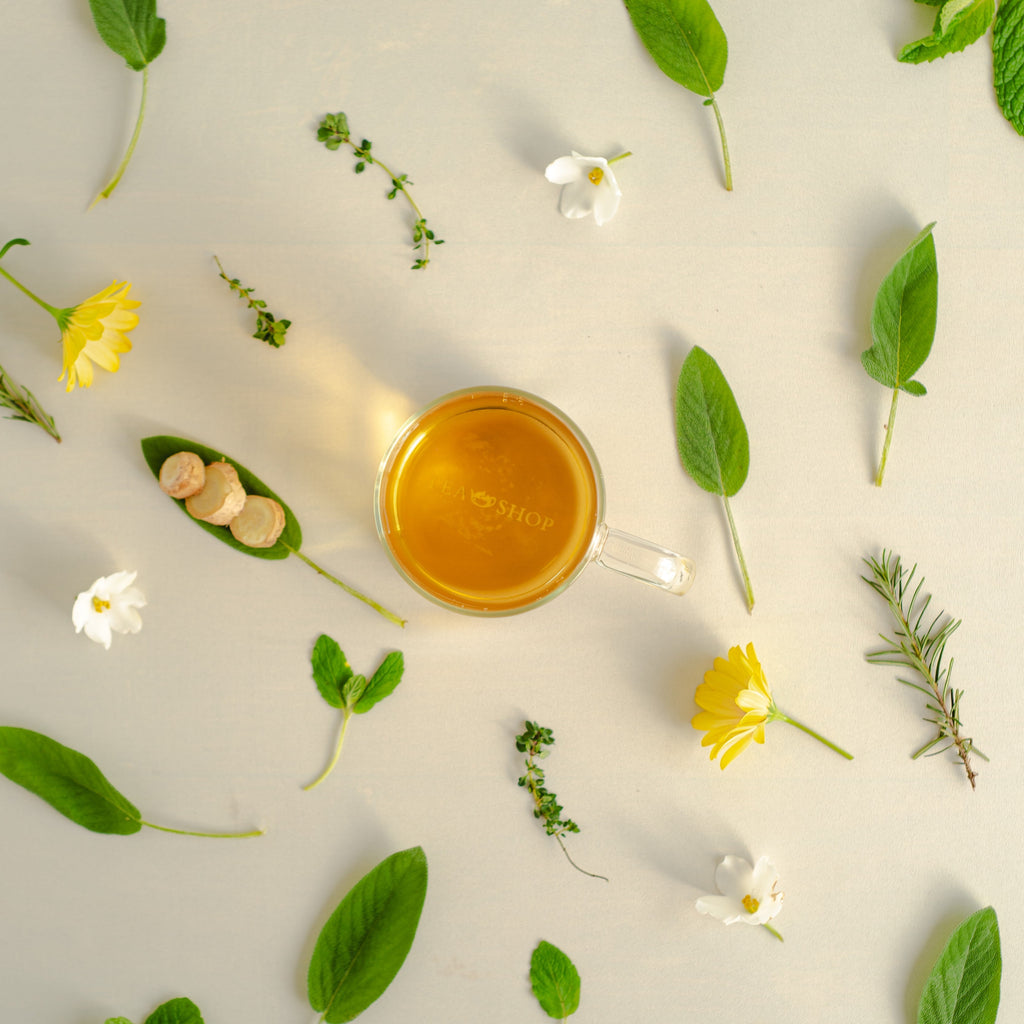 O que é o chá? Apresentamos a Camellia sinensis - Tea Shop Brasil