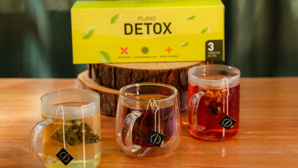 Plano Detox Tea Shop: transforme sua rotina de bem-estar com chás e infusões - Tea Shop
