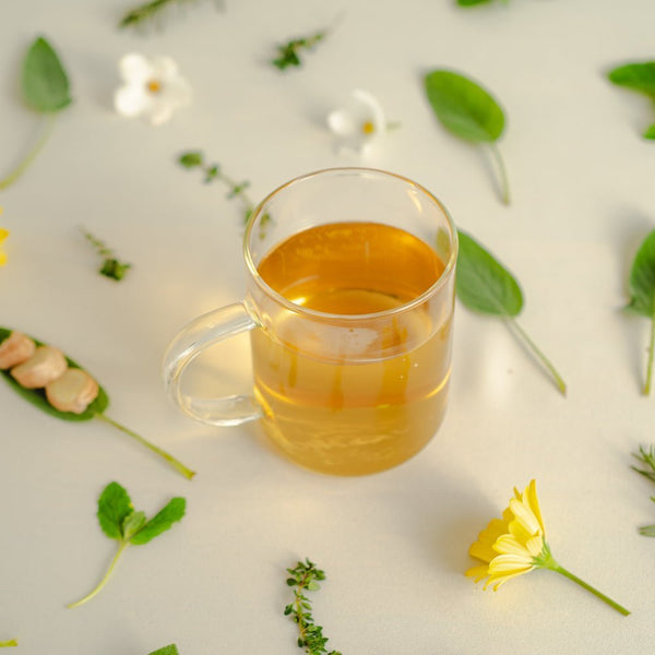 Super Wellness: Conheça a infusão que reúne 17 ervas naturais repletas de benefícios para a saúde - Tea Shop Brasil