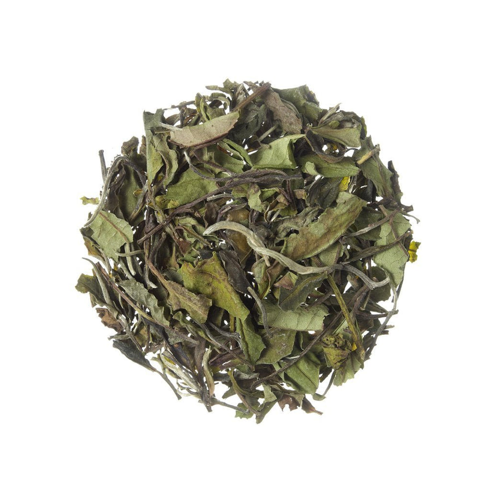 Chá Branco Pai Mu Tan - Tea Shop - Tea Shop Brasil