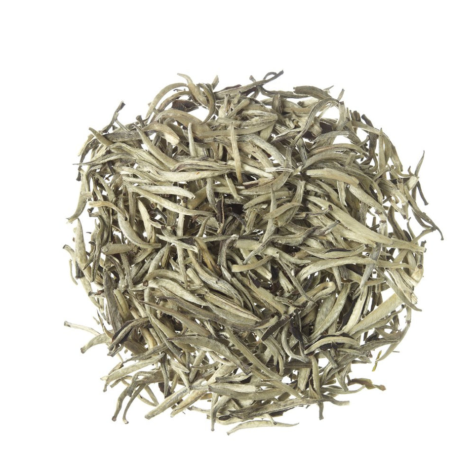 Chá Branco Silver Needles *Seleção Especial - Tea Shop