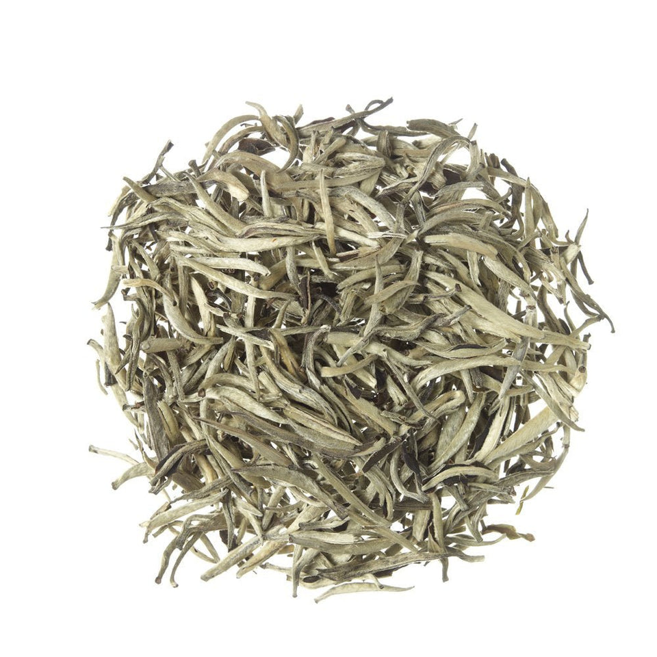 Chá Branco Silver Needles *Seleção Especial - Tea Shop - Tea Shop Brasil