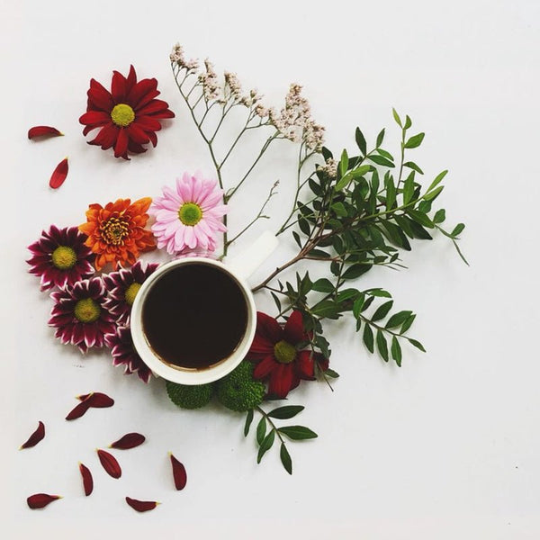 Chá Vermelho Pu Erh Original - Tea Shop - Tea Shop Brasil