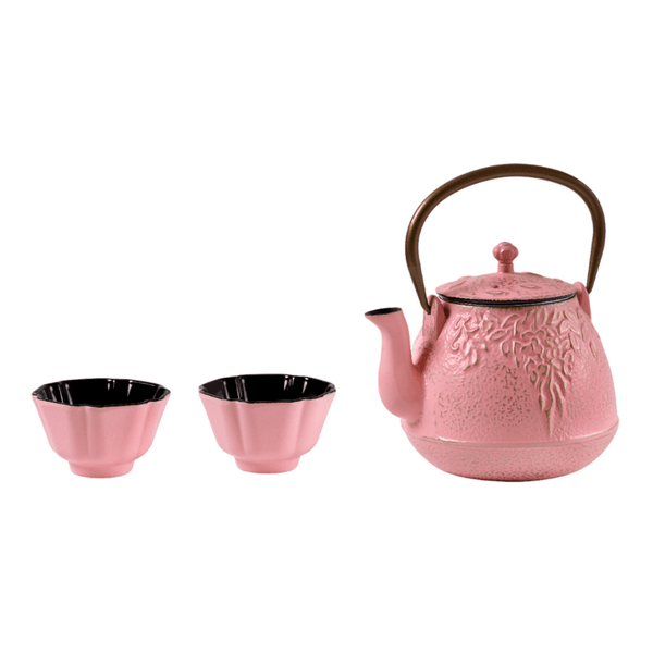 Set Iron Teapot Pink - Tea Shop Brasil