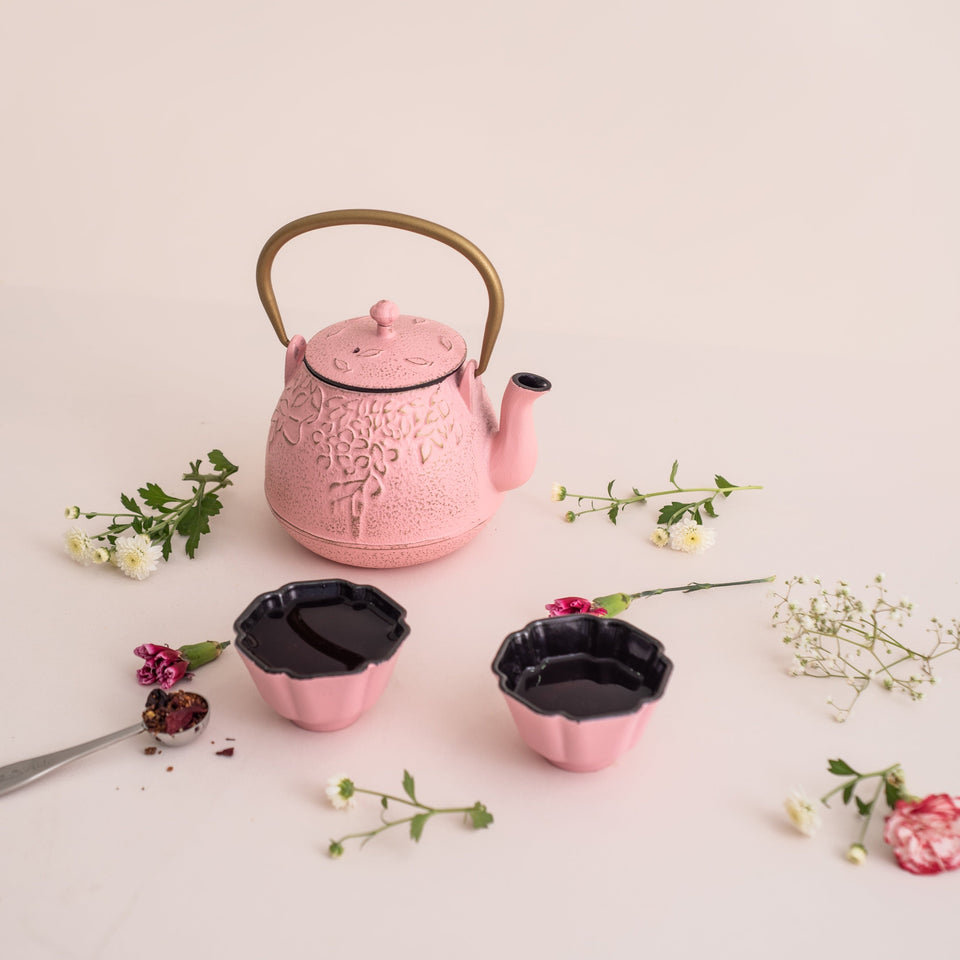 Set Iron Teapot Pink - Tea Shop Brasil